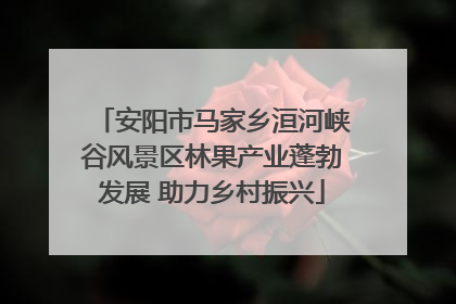 安阳市马家乡洹河峡谷风景区林果产业蓬勃发展 助力乡村振兴
