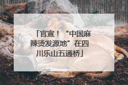 官宣！“中国麻辣烫发源地”在四川乐山五通桥
