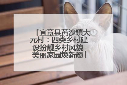 宜章县黄沙镇大元村：四类乡村建设扮靓乡村风貌 美丽家园焕新颜