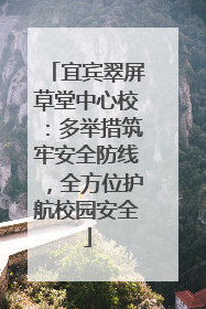 宜宾翠屏草堂中心校：多举措筑牢安全防线，全方位护航校园安全