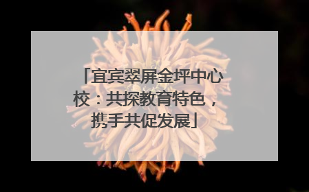 宜宾翠屏金坪中心校：共探教育特色，携手共促发展