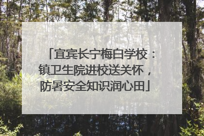 宜宾长宁梅白学校：镇卫生院进校送关怀，防暑安全知识润心田