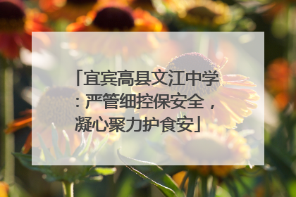 宜宾高县文江中学：严管细控保安全，凝心聚力护食安