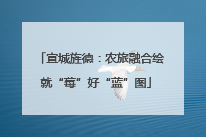 宣城旌德：农旅融合绘就“莓”好“蓝”图
