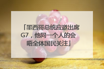墨西哥总统应邀出席G7，他同一个人的会晤全体国民关注