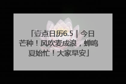 壹点日历6.5｜今日芒种！风吹麦成浪，蝉鸣夏始忙！大家早安