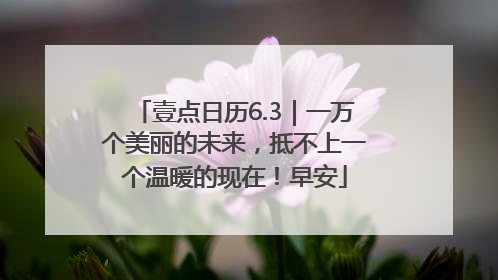 壹点日历6.3｜一万个美丽的未来，抵不上一个温暖的现在！早安
