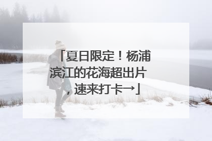 夏日限定！杨浦滨江的花海超出片，速来打卡→