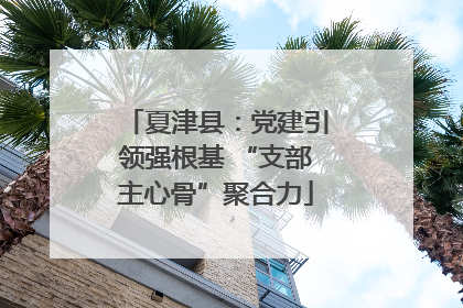 夏津县：党建引领强根基 “支部主心骨”聚合力