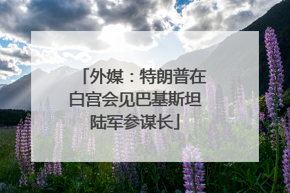 外媒：特朗普在白宫会见巴基斯坦陆军参谋长