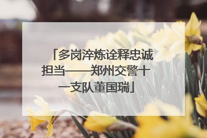 多岗淬炼诠释忠诚担当——郑州交警十一支队董国瑞