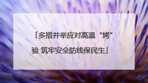 多措并举应对高温“烤”验 筑牢安全防线保民生