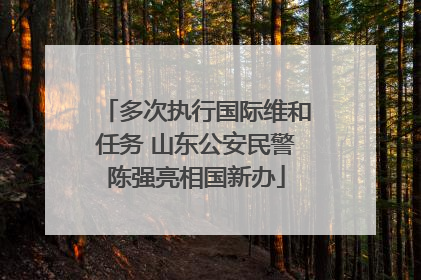 多次执行国际维和任务 山东公安民警陈强亮相国新办
