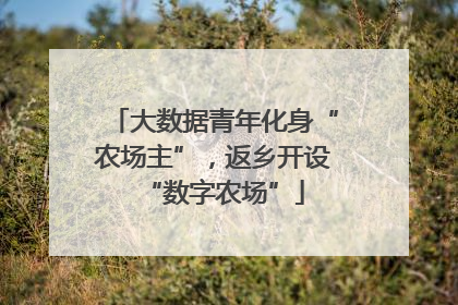 大数据青年化身“农场主”，返乡开设“数字农场”