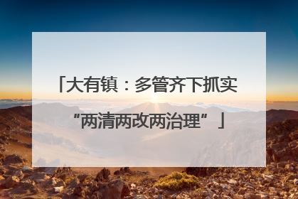 大有镇：多管齐下抓实“两清两改两治理”