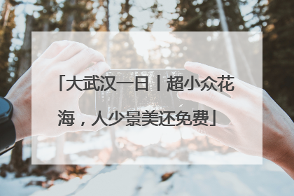 大武汉一日丨超小众花海，人少景美还免费