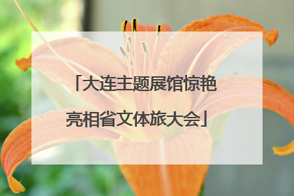 大连主题展馆惊艳亮相省文体旅大会