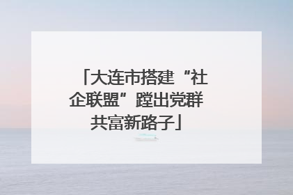 大连市搭建“社企联盟”蹚出党群共富新路子