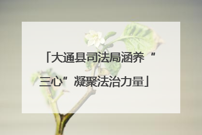 大通县司法局涵养“三心”凝聚法治力量