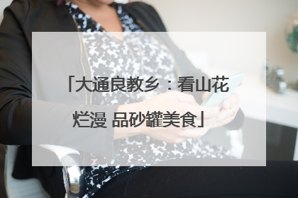 大通良教乡：看山花烂漫 品砂罐美食