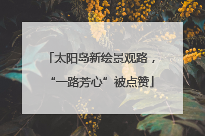 太阳岛新绘景观路，“一路芳心”被点赞