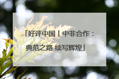 好评中国丨中非合作：典范之路 续写辉煌