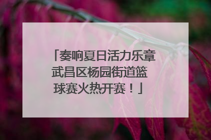奏响夏日活力乐章 武昌区杨园街道篮球赛火热开赛！