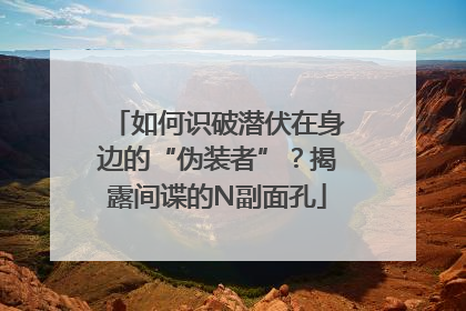 如何识破潜伏在身边的“伪装者”？揭露间谍的N副面孔