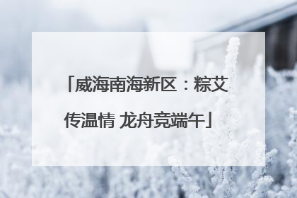 威海南海新区：粽艾传温情 龙舟竞端午