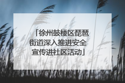 徐州鼓楼区琵琶街道深入推进安全宣传进社区活动