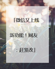 微信又上线新功能！网友：赶紧改