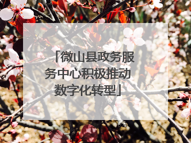 微山县政务服务中心积极推动数字化转型