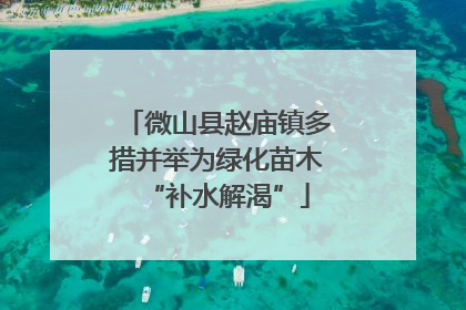 微山县赵庙镇多措并举为绿化苗木“补水解渴”