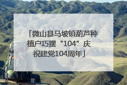 微山县马坡镇葫芦种植户巧摆“104”庆祝建党104周年