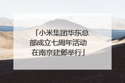小米集团华东总部成立七周年活动在南京建邺举行