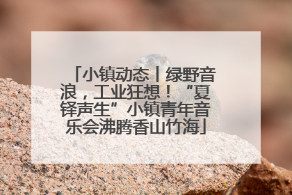 小镇动态丨绿野音浪，工业狂想！“夏铎声生”小镇青年音乐会沸腾香山竹海