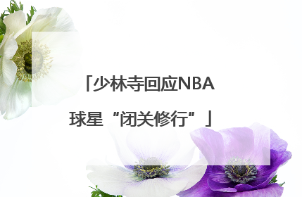 少林寺回应NBA球星“闭关修行”