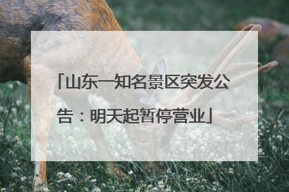 山东一知名景区突发公告：明天起暂停营业