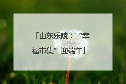 山东乐陵：“幸福市集”迎端午