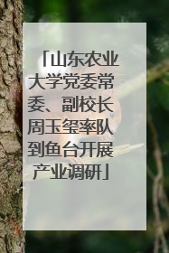 山东农业大学党委常委、副校长周玉玺率队到鱼台开展产业调研
