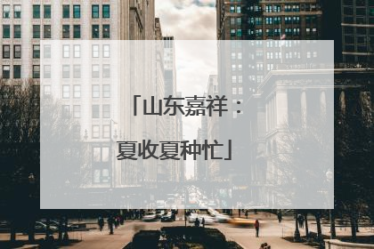 山东嘉祥：夏收夏种忙