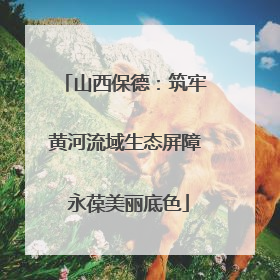 山西保德：筑牢黄河流域生态屏障 永葆美丽底色