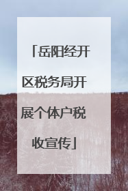 岳阳经开区税务局开展个体户税收宣传