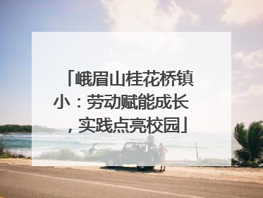 峨眉山桂花桥镇小：劳动赋能成长，实践点亮校园