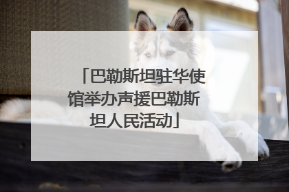 巴勒斯坦驻华使馆举办声援巴勒斯坦人民活动