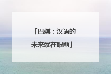 巴媒：汉语的未来就在眼前