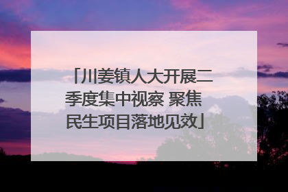 川姜镇人大开展二季度集中视察 聚焦民生项目落地见效