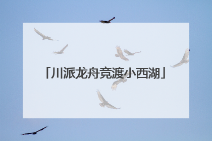 川派龙舟竞渡小西湖