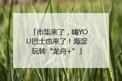 市集来了，嗨YOU巴士也来了！海淀玩转“龙舟+”