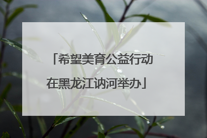 希望美育公益行动在黑龙江讷河举办